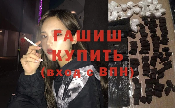 мдпв Гусев