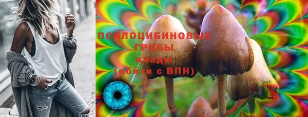 мдпв Гусев